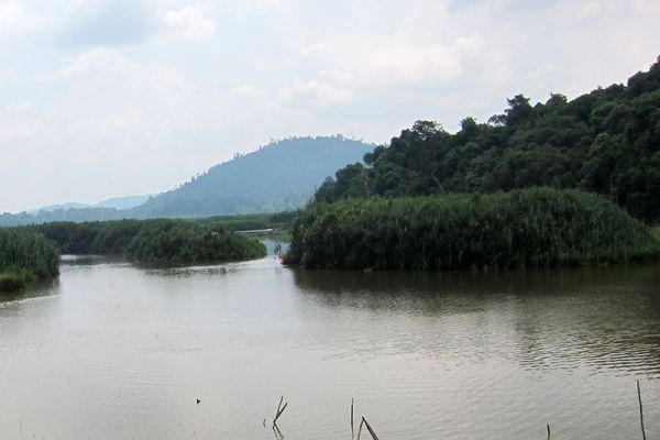 Chini Lake