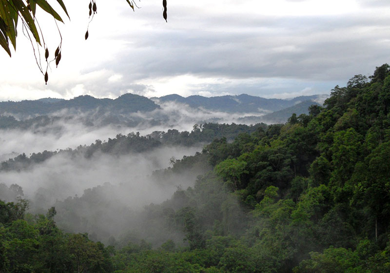 Nature Reserve : Bokeo Tourist Destination @ Laos