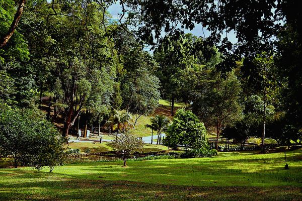 Perdana Botanical Gardens (Lake Gardens)