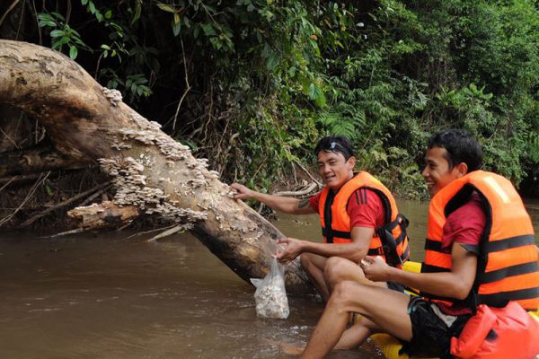 Forest Retreat Laos