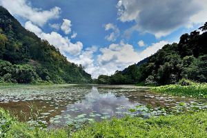 Thale Ban National Park