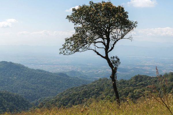 Doi Luang National Park