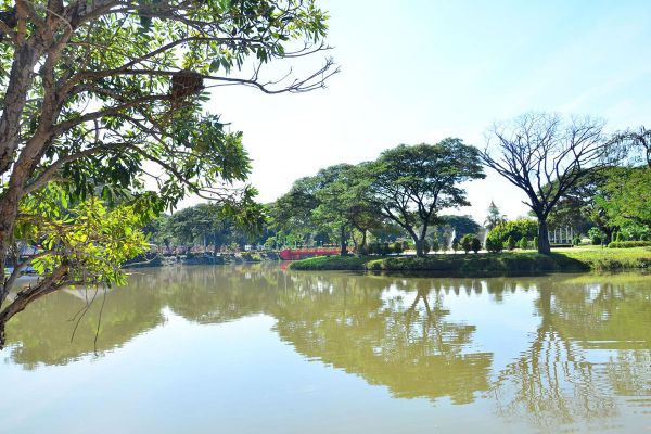 Nong Krathing Public Park