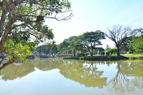 Nong Krathing Public Park