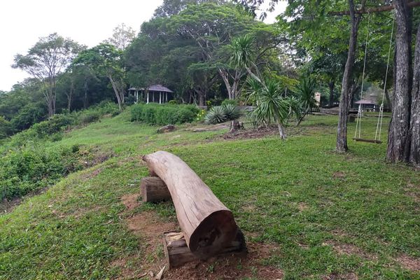 Phu Mu Forest Park