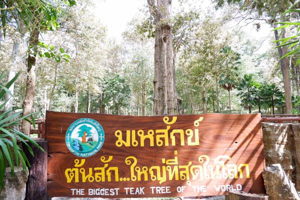 Ton Sak Yai National Park (Klong Tron)