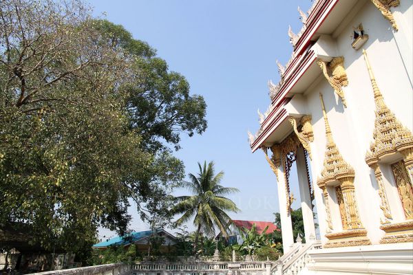 Wat Chan Tawan Tok