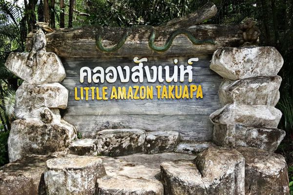 Little Amazon Takuapa