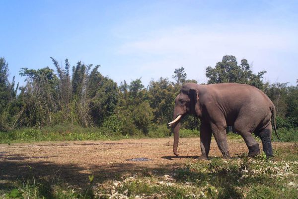 Salakpra Wildlife Sanctuary