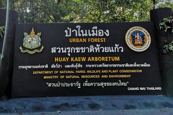 Huay Kaew Arboretum