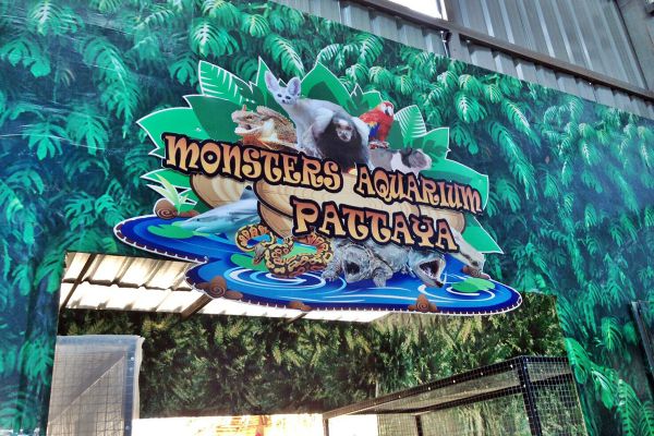 Monsters Aquarium Pattaya