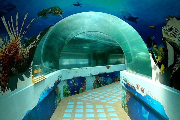 Kung Krabaen Bay Aquarium