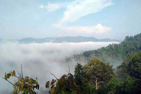 Kaeng Krung National Park