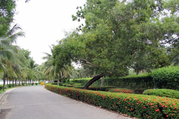 Koh Lamphu Public Park