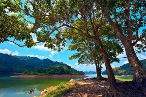 Pedu-Lake-Kedah-Malaysia-002.jpg