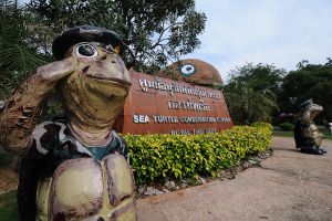 Sea-Turtle-Conservation-Center-Royal-Thai-Navy-Chonburi-Thailand-01.jpg