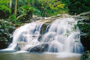 Than-To-Waterfall-Forest-Park-Yala-Thailand-03.jpg